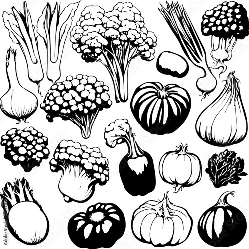 set of vegetables, Vector fully editable vegetables 2d illustration black and white, happy vegetarian day.
