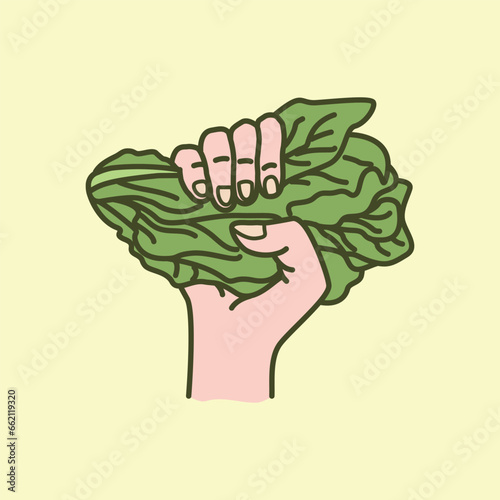 Hand hold green cabbage or lettuce illustration isolated on white background