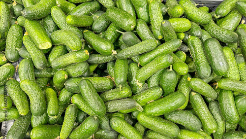 Fototapeta Naklejka Na Ścianę i Meble -  ripe green cucumbers on the counter