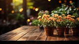 Wooden table with potted plants and Beautiful bokeh background