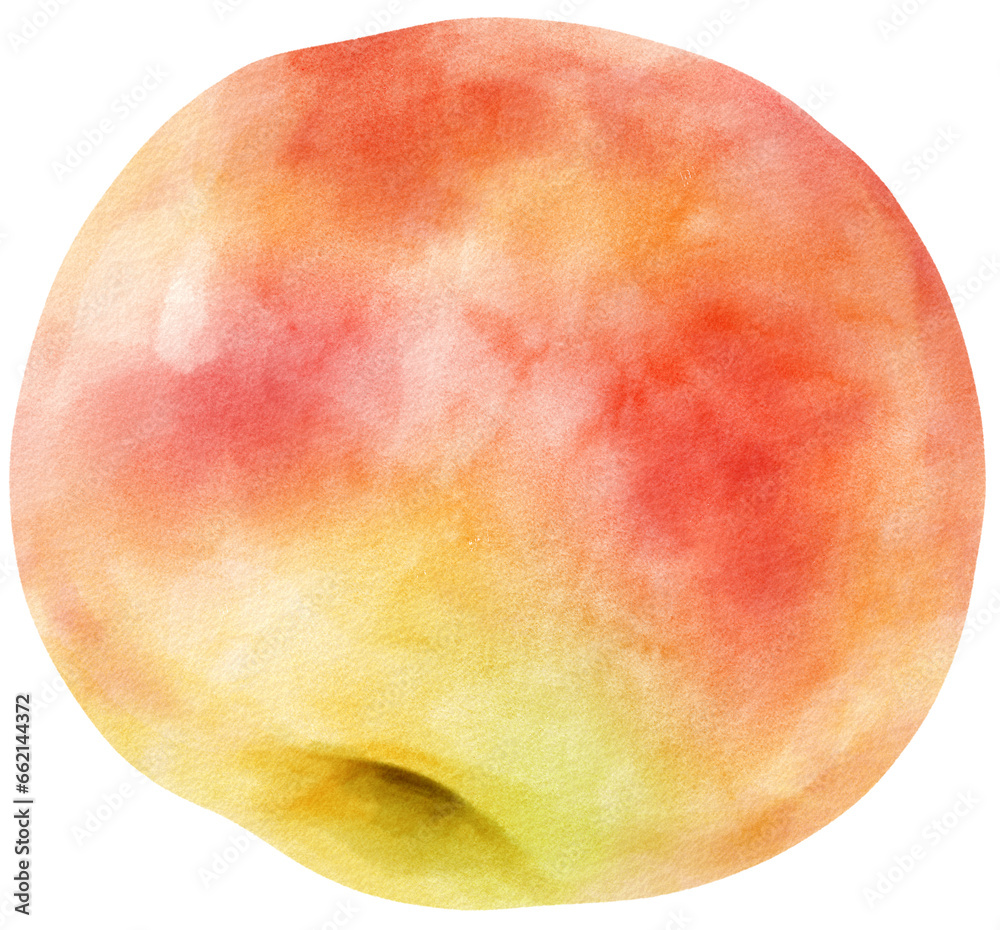 Fototapeta premium Apple fruit watercolor illustration