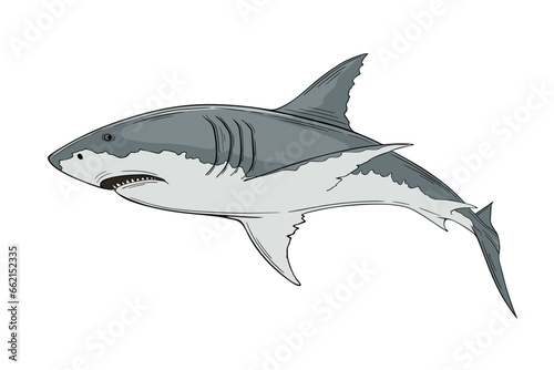 White shark swim, vector illustration isolated on white background