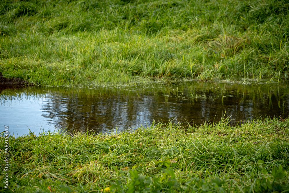 ditch with water in green grass meadow ditch with water in green grass meadow