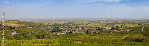 Panorama des vignobles depuis la Chapelle de la Madone à Fleurie
