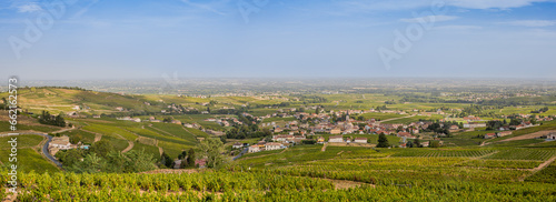 Panorama des vignobles depuis la Chapelle de la Madone à Fleurie