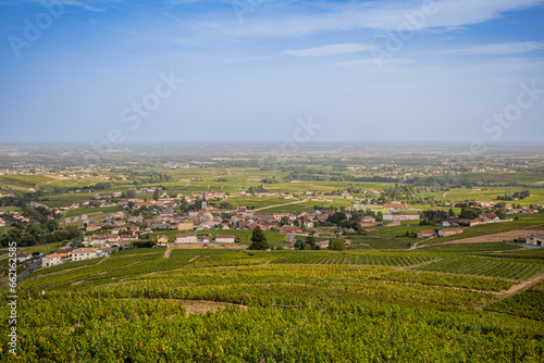 Vue sur les vignobles depuis la Chapelle de la Madone à Fleurie