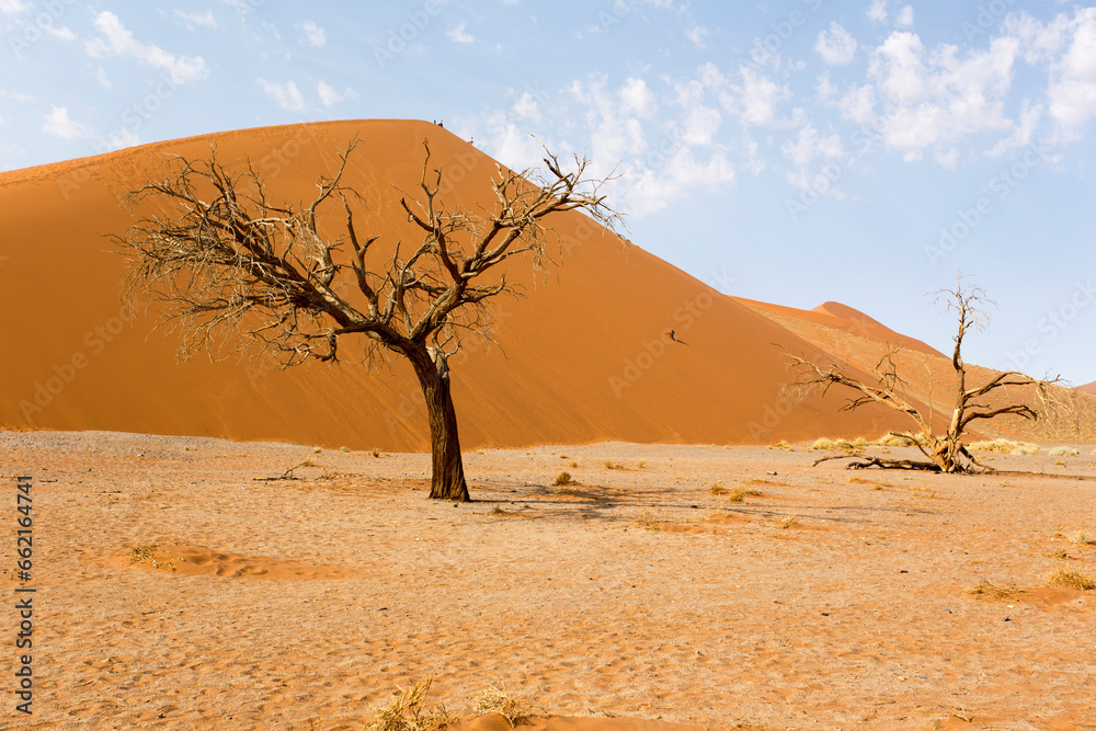 View of red sand dunes and dead tree in Sossusvlei View of red sand dunes and dead tree in Sossusvlei