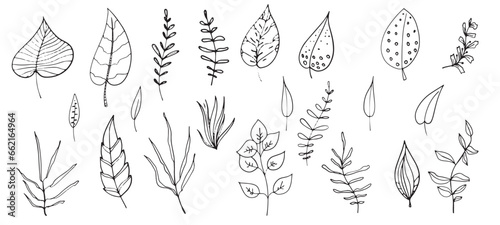 A border of leaves of various vintage plants is a botanical set, hand-drawn. vegetable organic drawing for design.