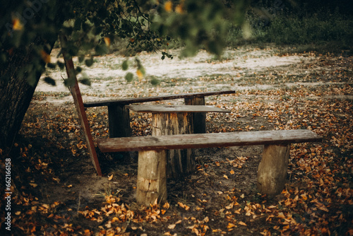 bench in the autumn park