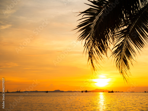 Sunset Sunrise Sea Summer Leaf Palm Shadow Background  Orange Sky Cloud Evening Beautiful Landscape Gold Color Light Dawn Sunny Cloudy Tropical Clear Horizon Clean Calm Water Ocean Coast Nature Tropic