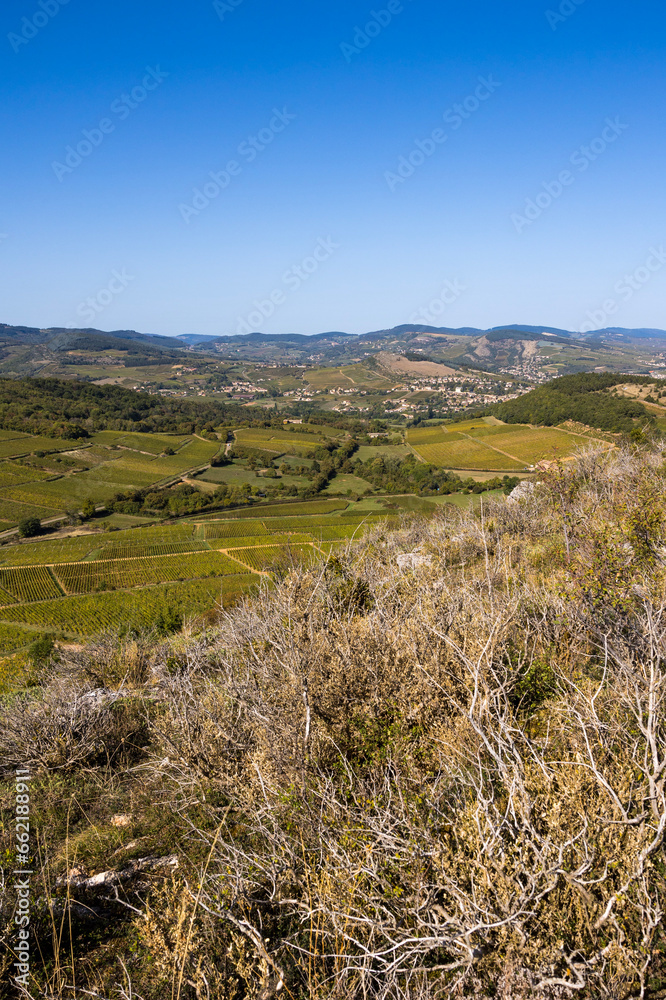 Village de La Roche-Vineuse, entouré par le vignoble de la célèbre appellation Pouilly-Fuissé, depuis Vergisson