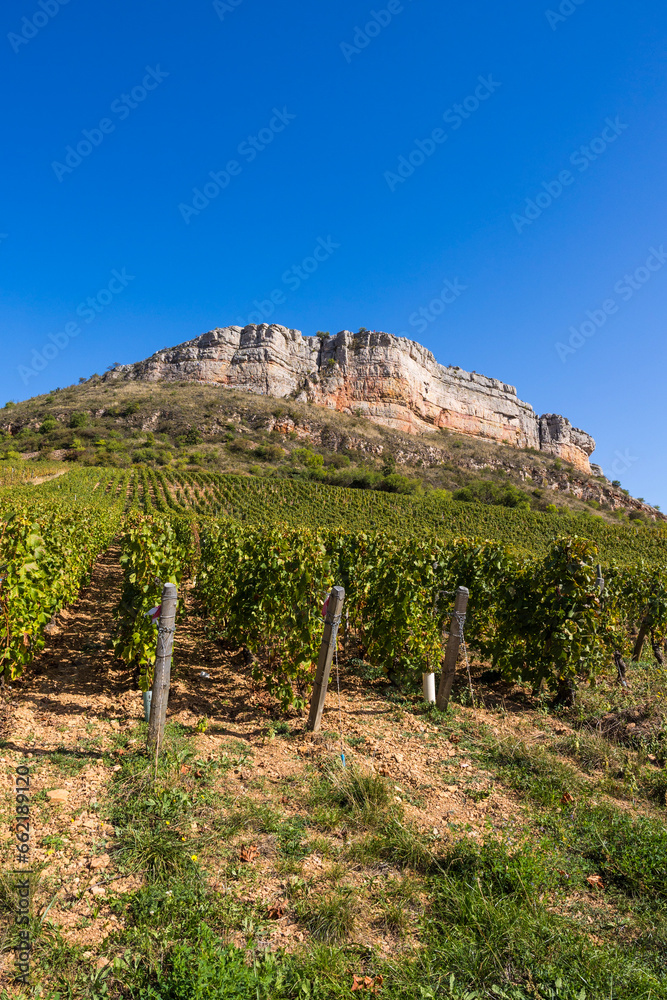 Falaise calcaire de la Roche du Vergisson surplombant le vignoble de la célèbre appellation Pouilly-Fuissé, en Bourgogne, près de Mâcon