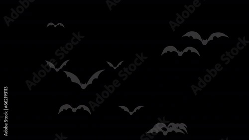 Halloween bat flying motion graphics video transparent background with alpha channel
