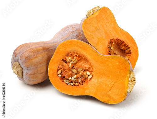 butternut squash isolated on white background.
