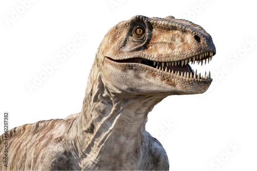 head of a roaring canivorous dinosaur