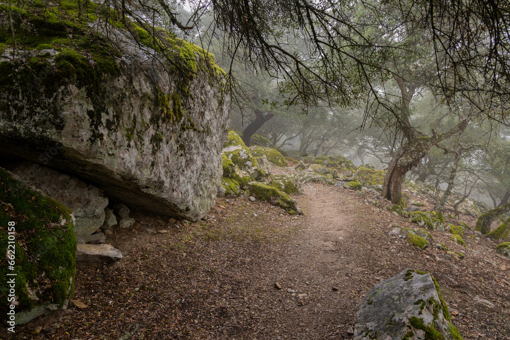 Parque Nacional de Monfragüe (España) en un día de niebla y nublado Parque Nacional de Monfragüe (España) en un día de niebla y nublado