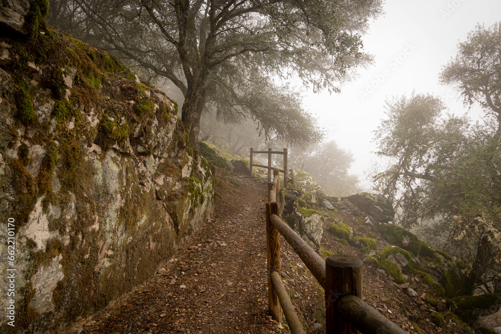Parque Nacional de Monfragüe (España) en un día de niebla y nublado
