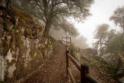 Parque Nacional de Monfragüe (España) en un día de niebla y nublado