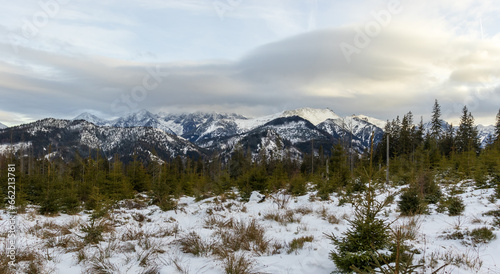 "Chilly Winter Landscape in Tatra Mountains, Poland"