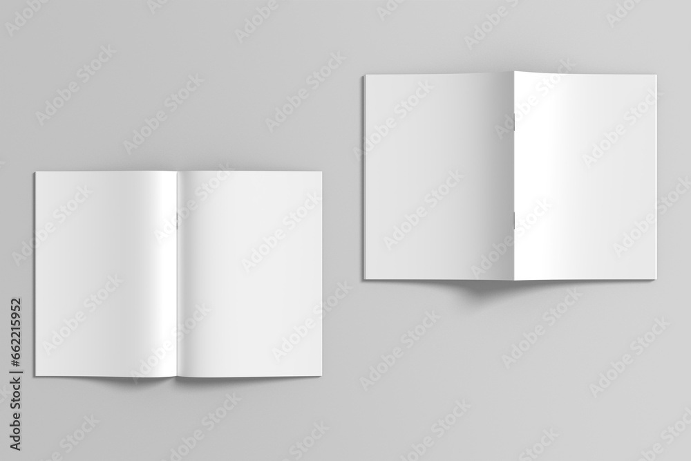 Brochure Blank Mockup