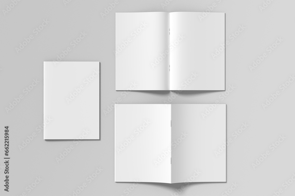 Brochure Blank Mockup Brochure Blank Mockup