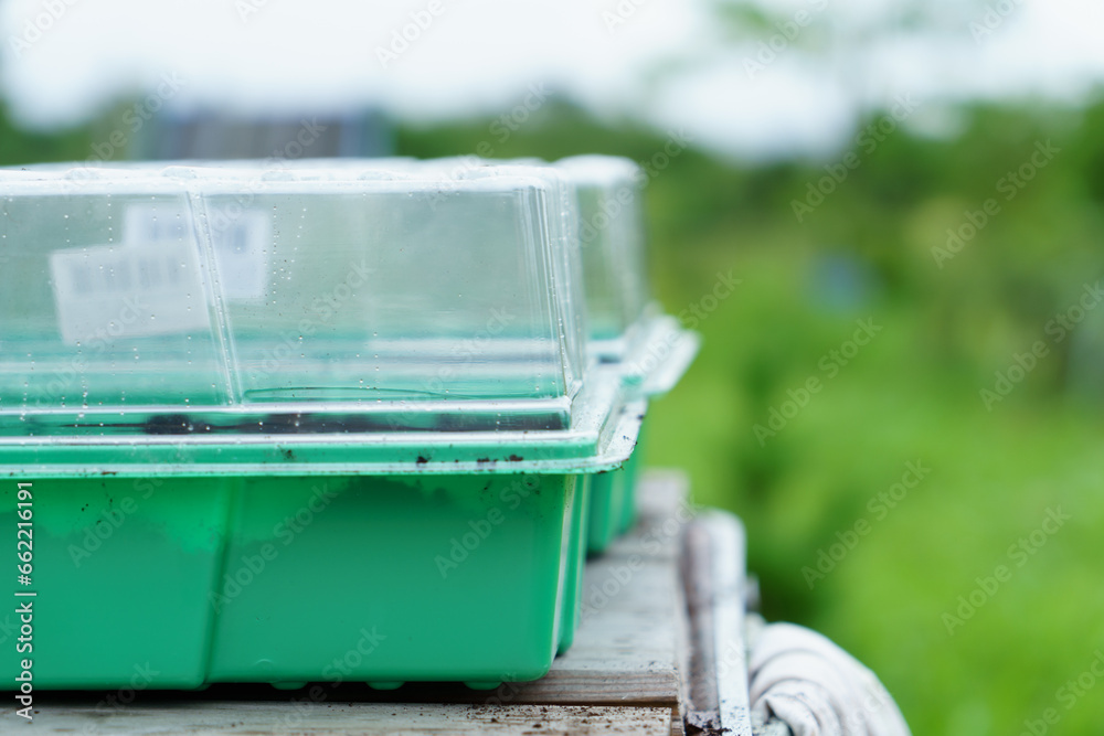 Plastic container for seedlings with soil. Plastic container for seedlings with soil.