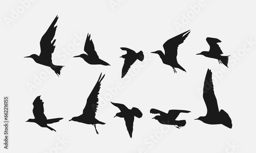 set of flying bird silhouettes. side view. vector illustration. © Irkhamsterstock