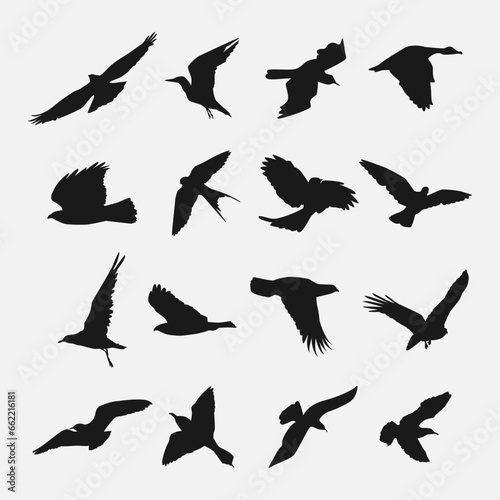 set of flying bird silhouettes. vector illustration.