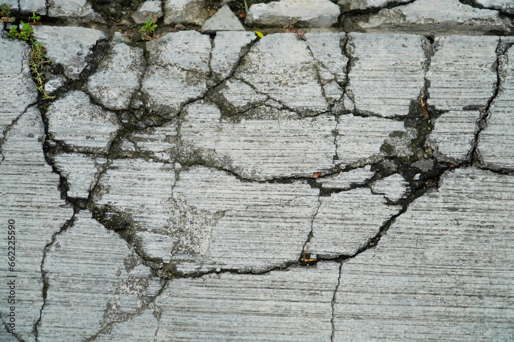 Obraz premium old cracked tiles and weathered broken floor of cement by the grass and the power of the nature - rough texture background - close-up shot