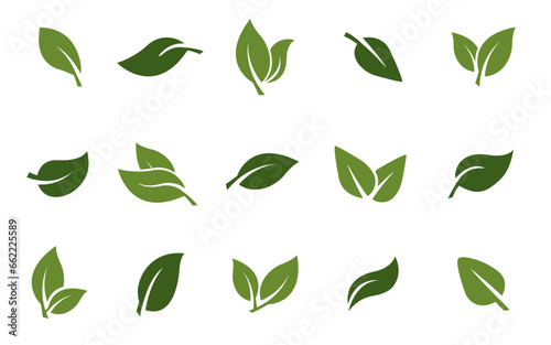 set of leaves green leaf nature art illustration vector sticker icon symbol graphic design environment plant 