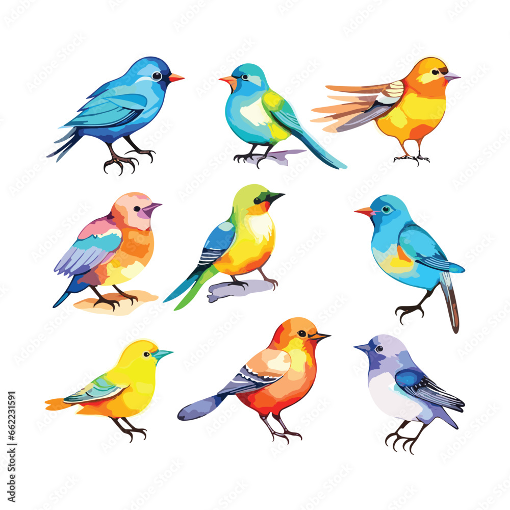 Fototapeta premium set of birds