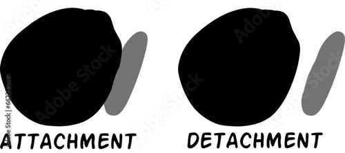 Hand drawn illustration of 