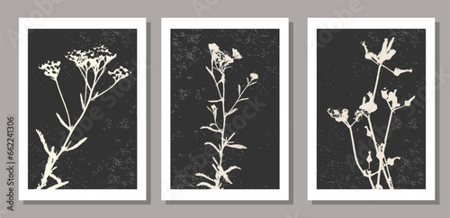 Set of contemporary collage botanical minimalist wall art poster