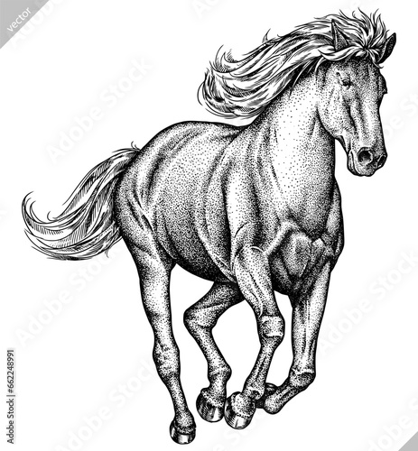 Vintage engraving isolated horse set illustration ink sketch. Wild equine background nag mustang animal silhouette art. Black and white hand drawn vector image