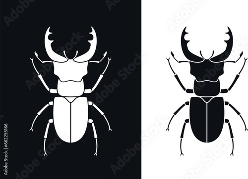 Beetle deer. Hercules beetle