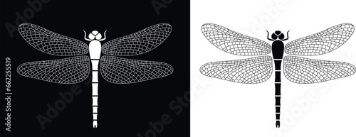 Dragonfly logo. Isolated dragonfly on white background