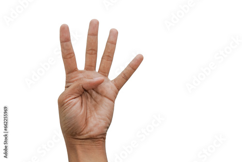 hand isolated on white, four fingers, counting four