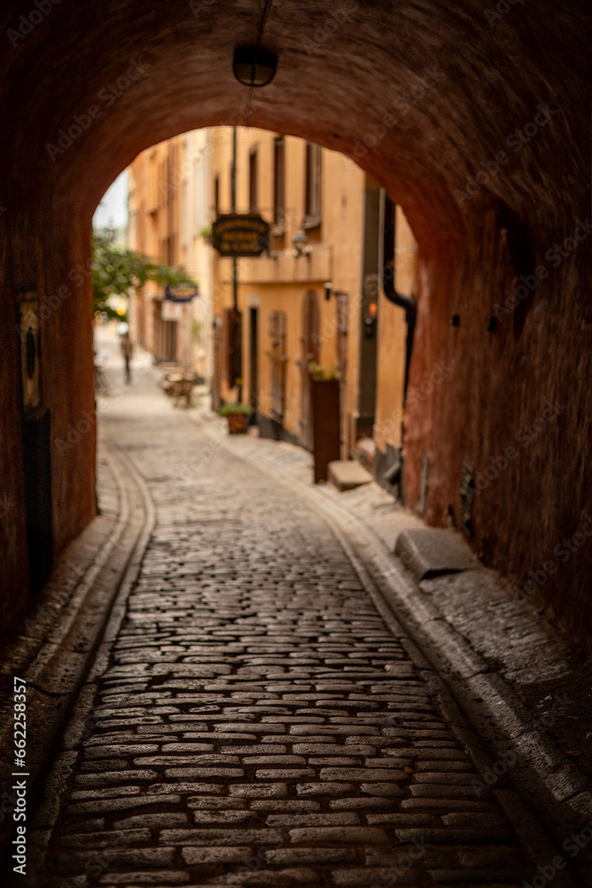 Obraz premium A walk in Pelican Alley in Stockholm