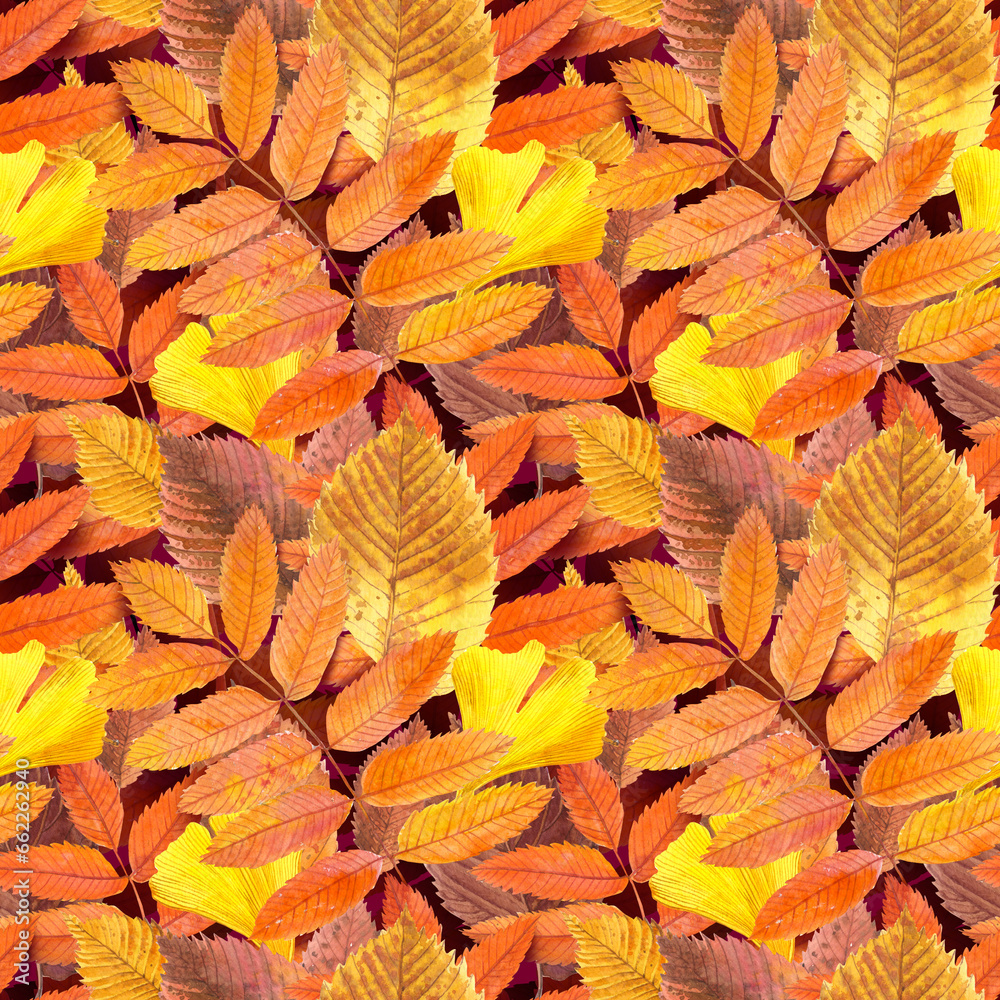 Watercolour autumn ginkgo, Rowan leaves season illustration seamless pattern. On Dark Magenta background. Hand-painted. Floral elements.