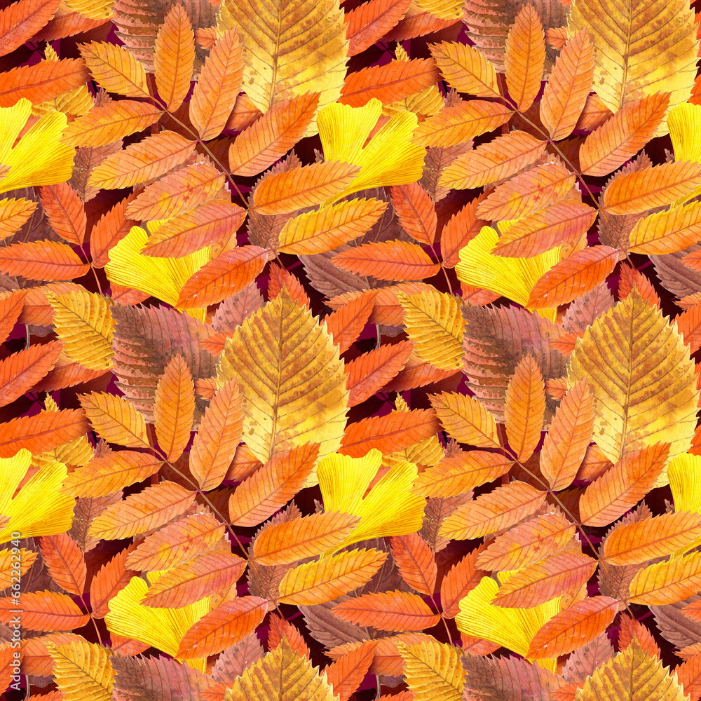 Watercolour autumn ginkgo, Rowan leaves season illustration seamless pattern. On Dark Magenta background. Hand-painted. Floral elements. Watercolour autumn ginkgo, Rowan leaves season illustration seamless pattern. On Dark Magenta background. Hand-painted. Floral elements.