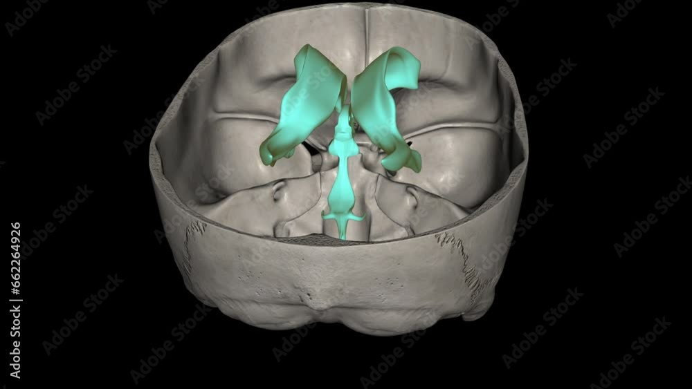 The ventricles of the brain are a communicating network of cavities filled with cerebrospinal