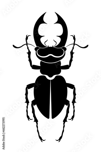 Black silhouette of a scarab stag beetle with horns. Lucanus cervus vector insect isolated on a white background 