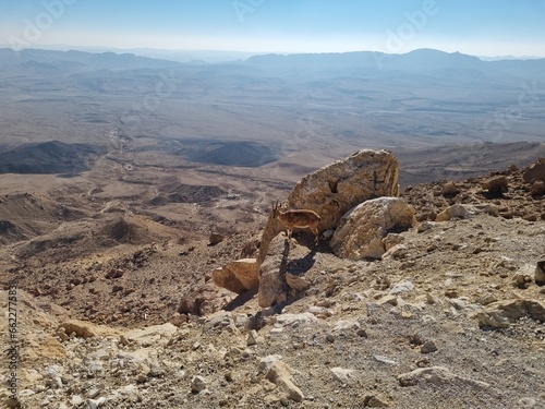 Fotografía Nature of the Negev Desert of Israel