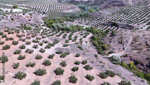 Viaducts and landscape of olive groves on the Via Verde de Guadalimar. Aerial view from a drone. Via Verdes de Jaen. Linares. Province of Jaen. Andalusia. Spain. Europe photo