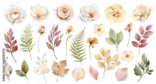 Fototapeta Naklejka Na Ścianę i Meble -  Watercolour set of flowers and leaves in neutral color. Elements for greeting cards, stationery, wedding invitations and decorations. A hand drawn illustration.