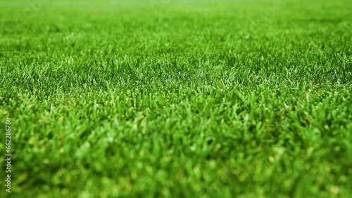 Clean empty football grass field