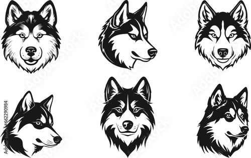 Cute siberian husky dog. Black and white Siberian husky with cute eyes . Hand drawn portrait of dog. Vector illustration