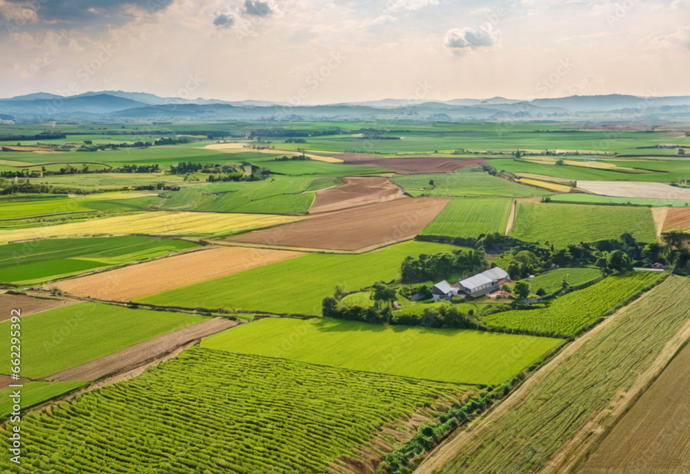 green agricultural fields from a bird's eye view