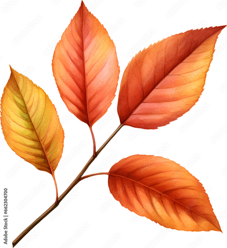 Foliage Watercolor Clipart Foliage Watercolor Clipart