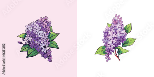 lilac vector clip art illustration